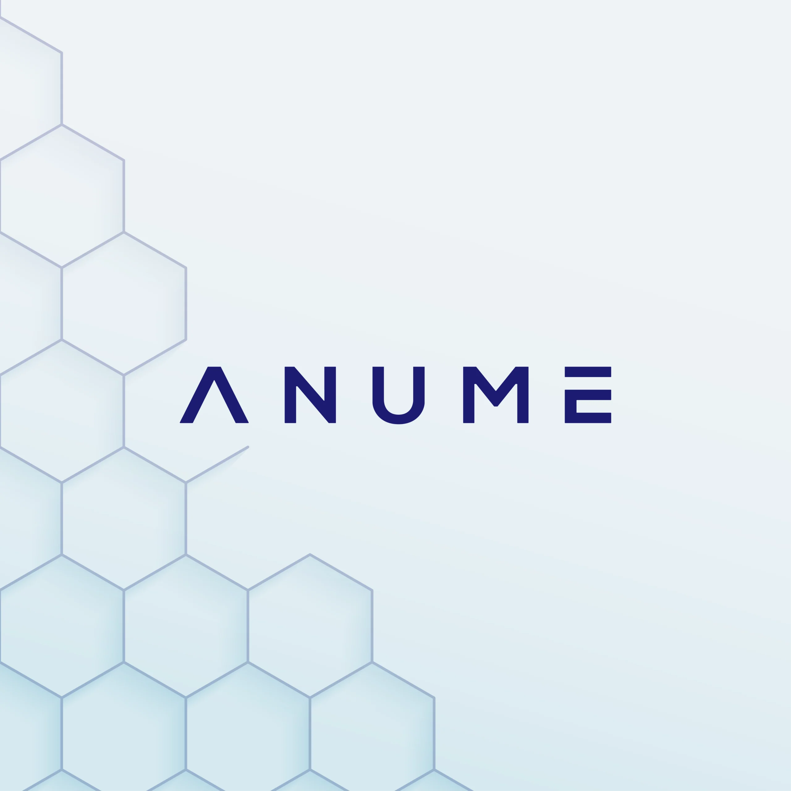 Anume Ltd