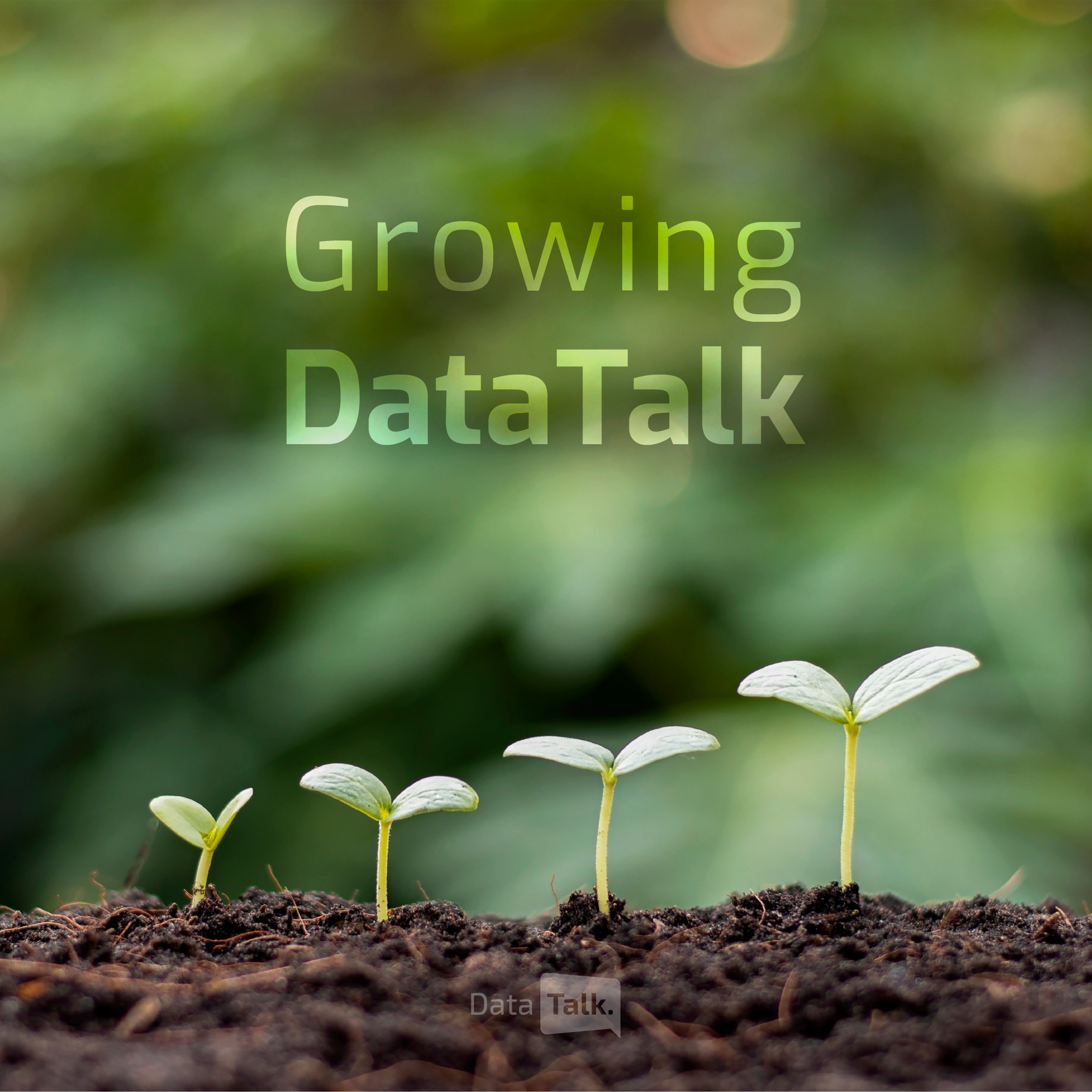 How DataTalk Was Born